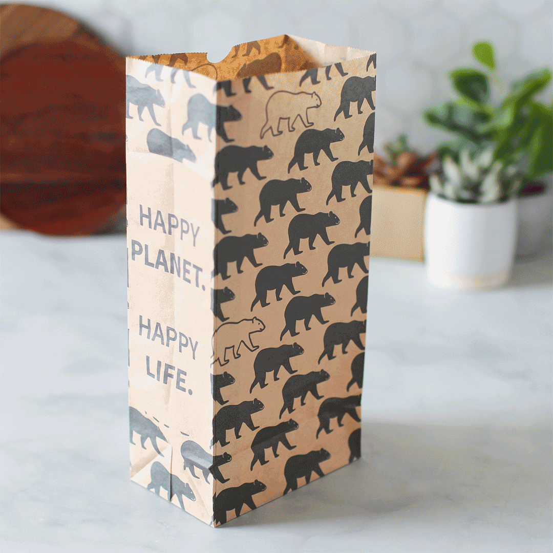 Recyclable Paper Lunch Sacs