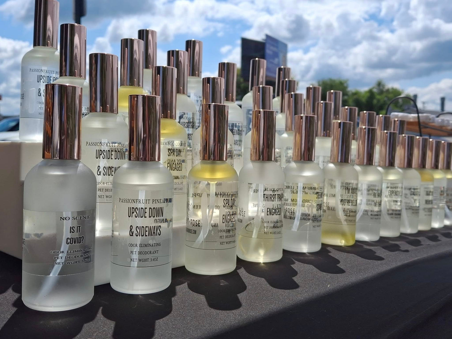 Canine Cologne 3.4 Oz
