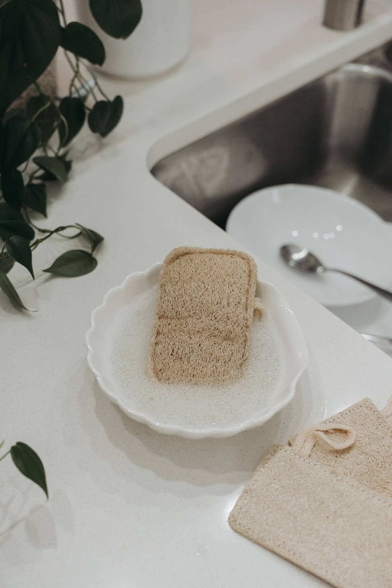 1 Natural Loofah Sponge | Doubled Layered | Plant-Based