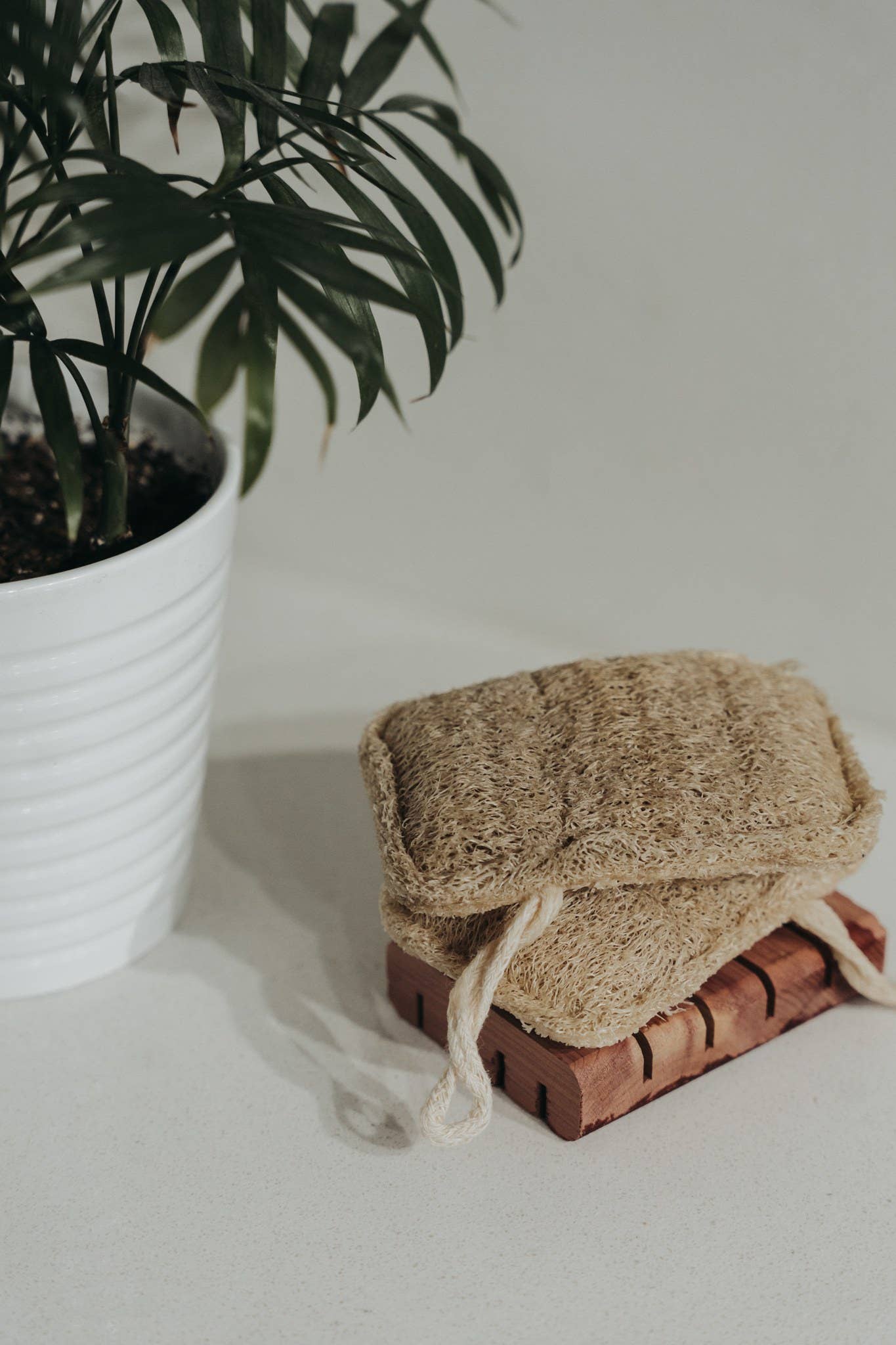 1 Natural Loofah Sponge | Doubled Layered | Plant-Based