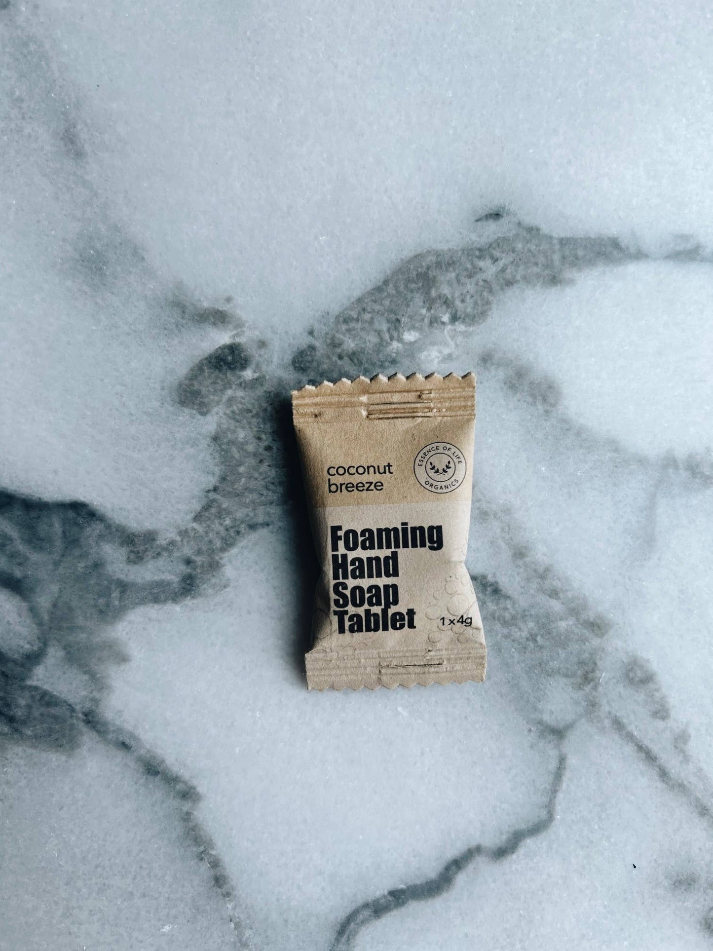 Foaming Hand Soap Tablets Starter Kit