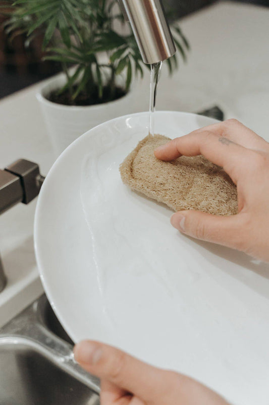 1 Natural Loofah Sponge | Doubled Layered | Plant-Based