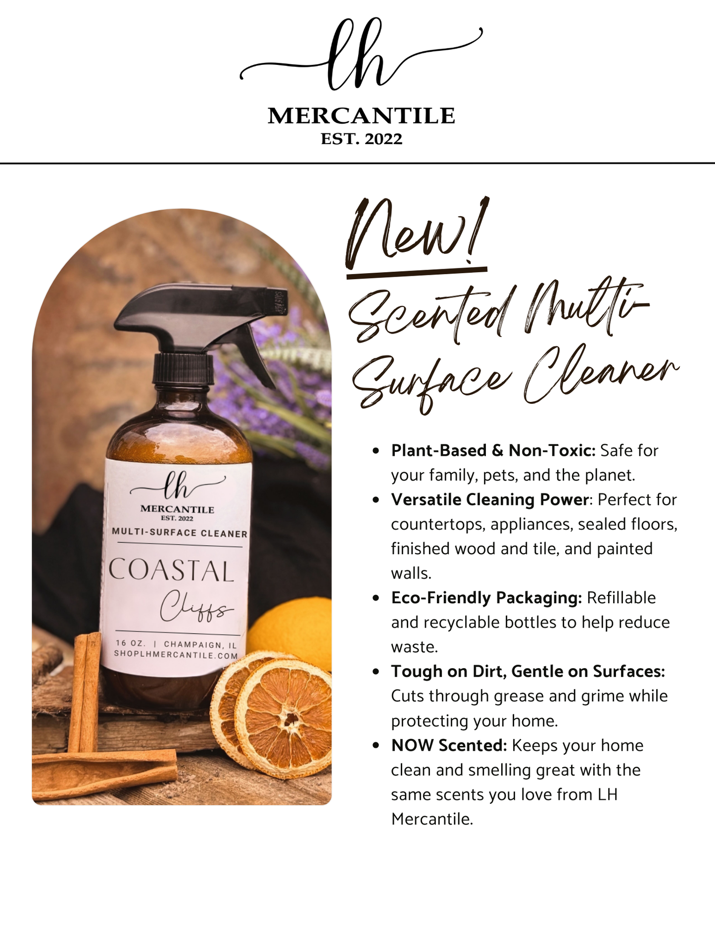 Multi-Surface Cleaner