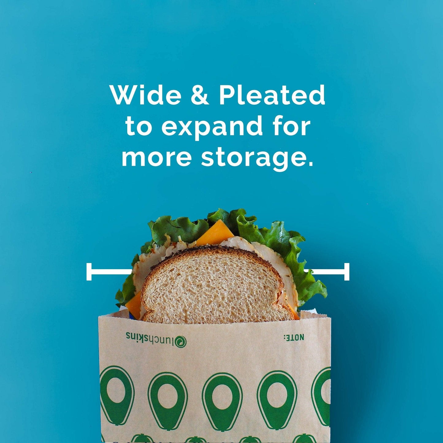 Compostable Sandwich Bags Avocado 50 Count