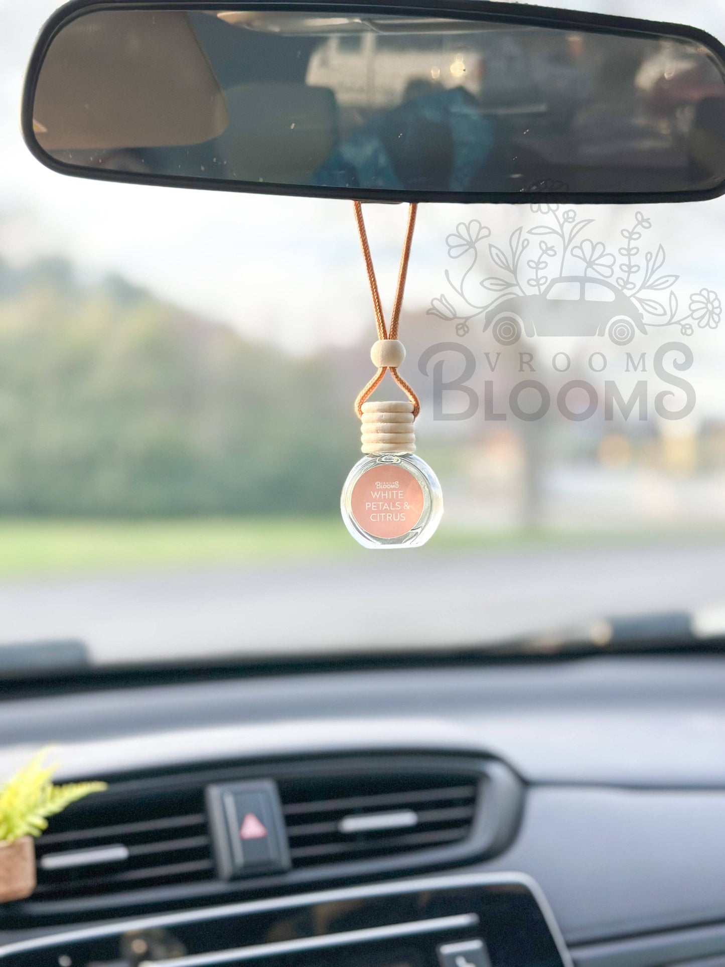 Hanging Car Air Freshener + Odor Eliminator, Clean Oils  : Mahogany Teakwood