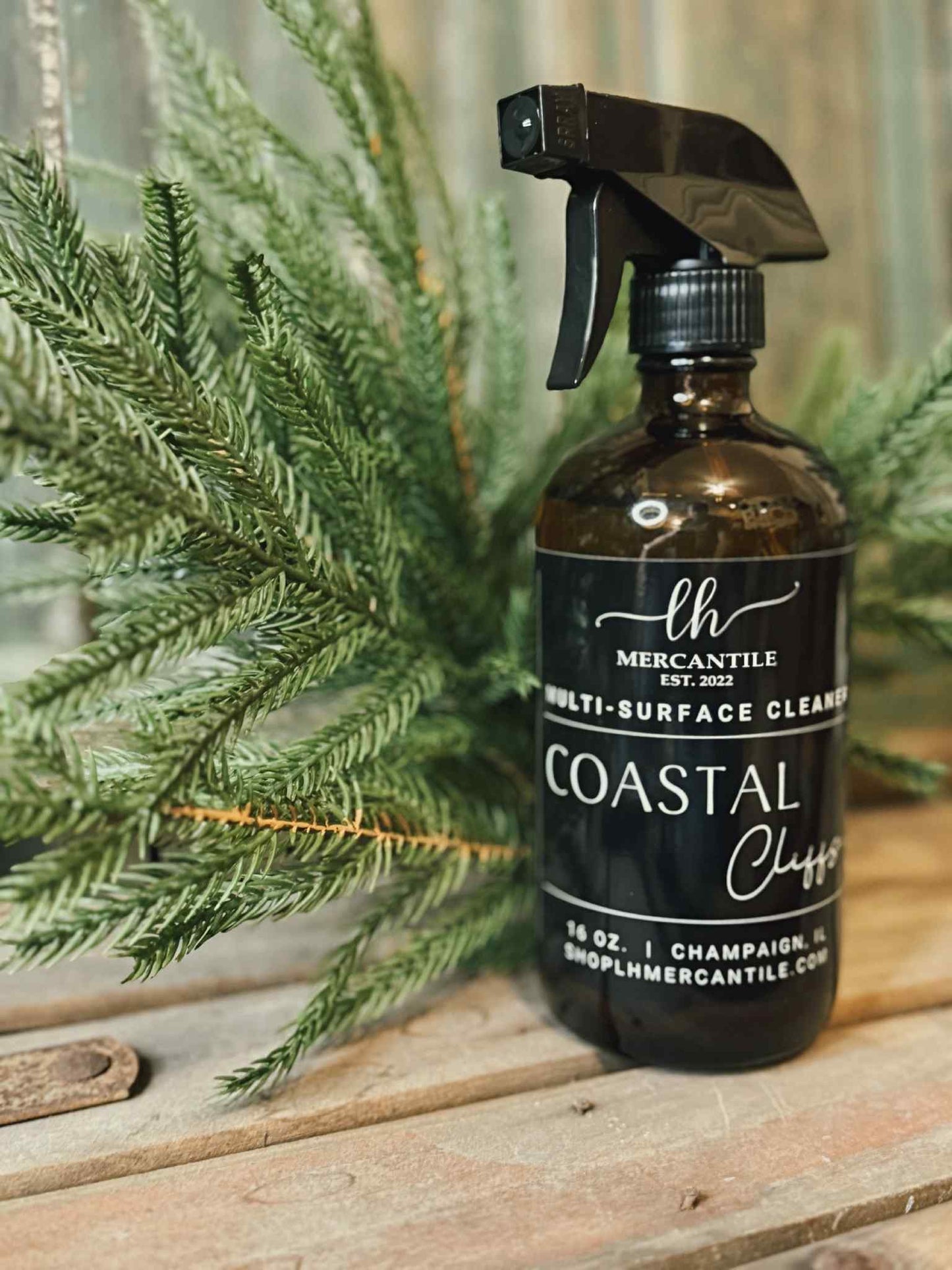 Multi-Surface Cleaner