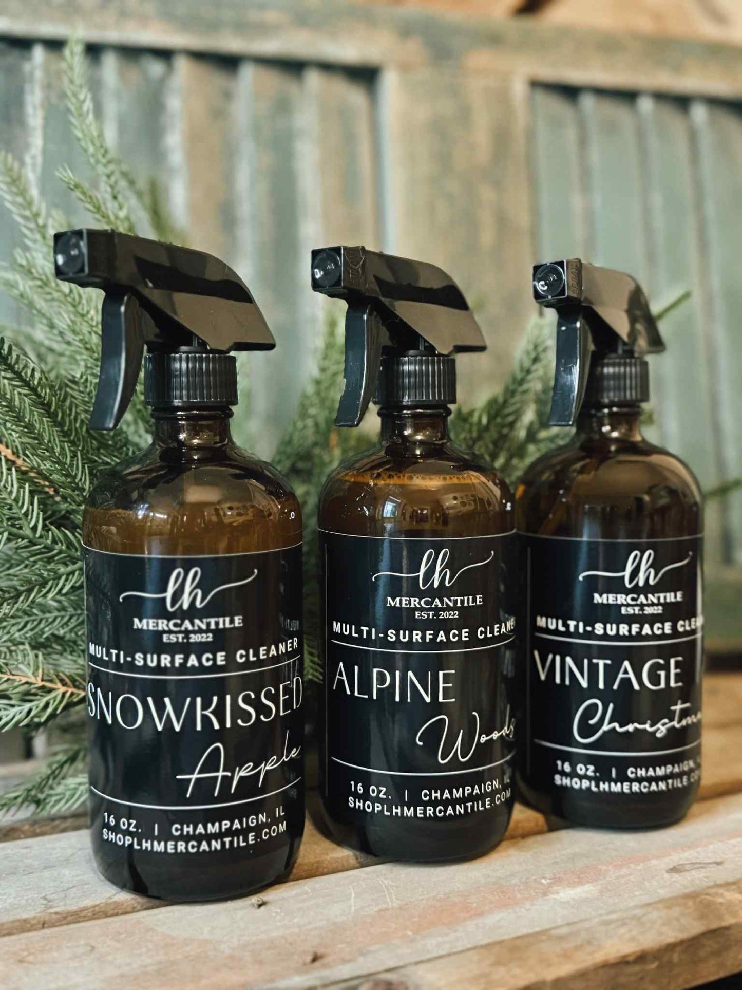 Multi-Surface Cleaner